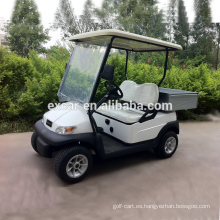 2 asientos carrito de golf eléctrico precio carrito de golf eléctrico barato para la venta china mini buggy